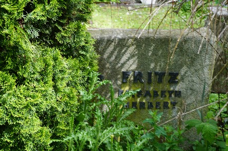 Bad Godesberg
